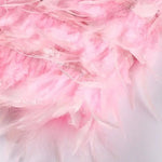 Samba | A Elegância em Movimento - Ines Braga