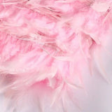 Samba | A Elegância em Movimento - Ines Braga