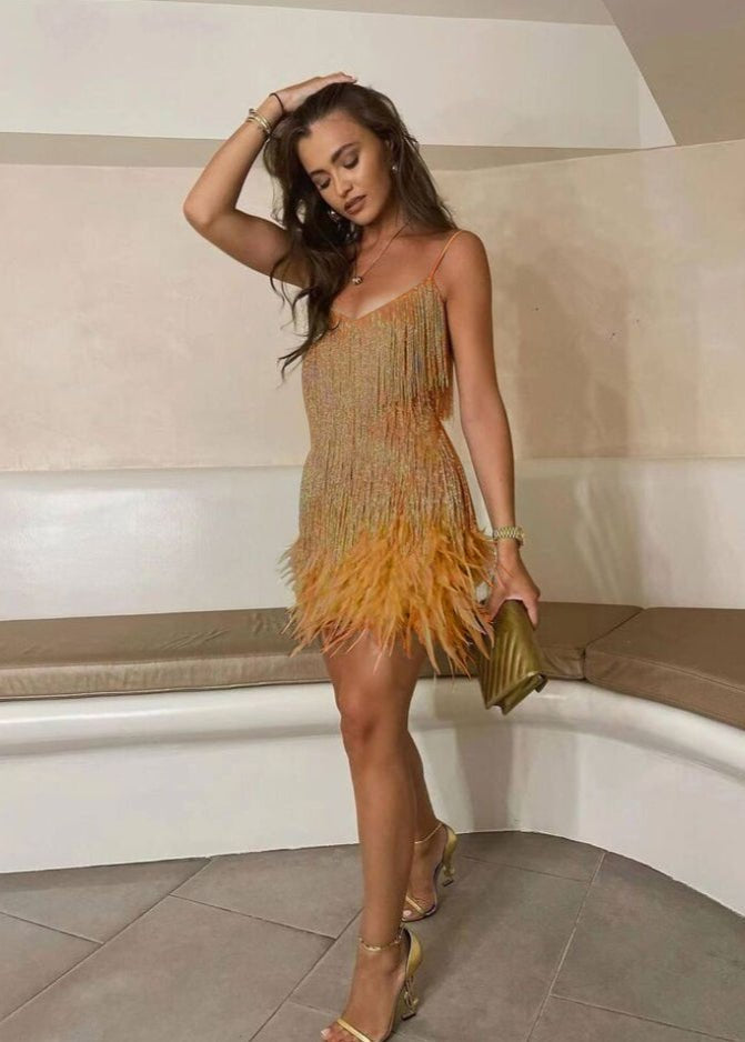 Samba | A Elegância em Movimento - Ines Braga